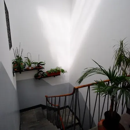 Borgo Pinti 49 Lägenhet *